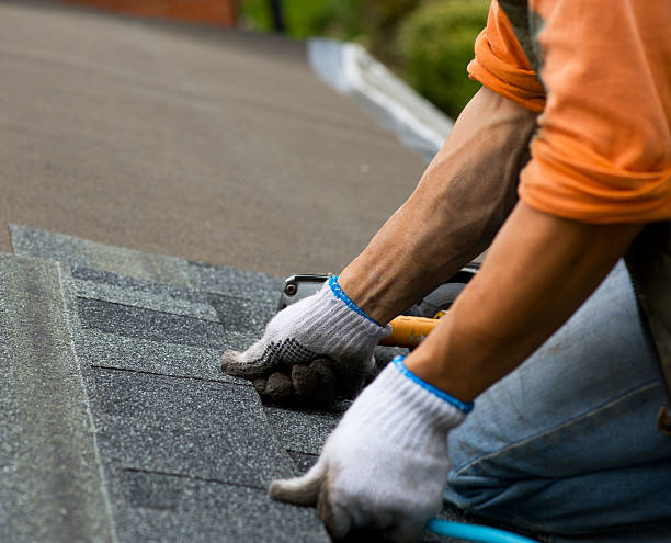 Best Roofing Contractor Near Me  in Winona, MS