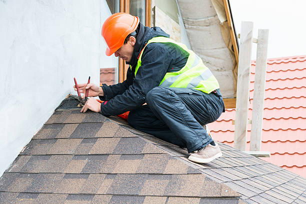 Best Roof Gutter Cleaning  in Winona, MS